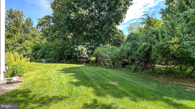 a view of yard with green space