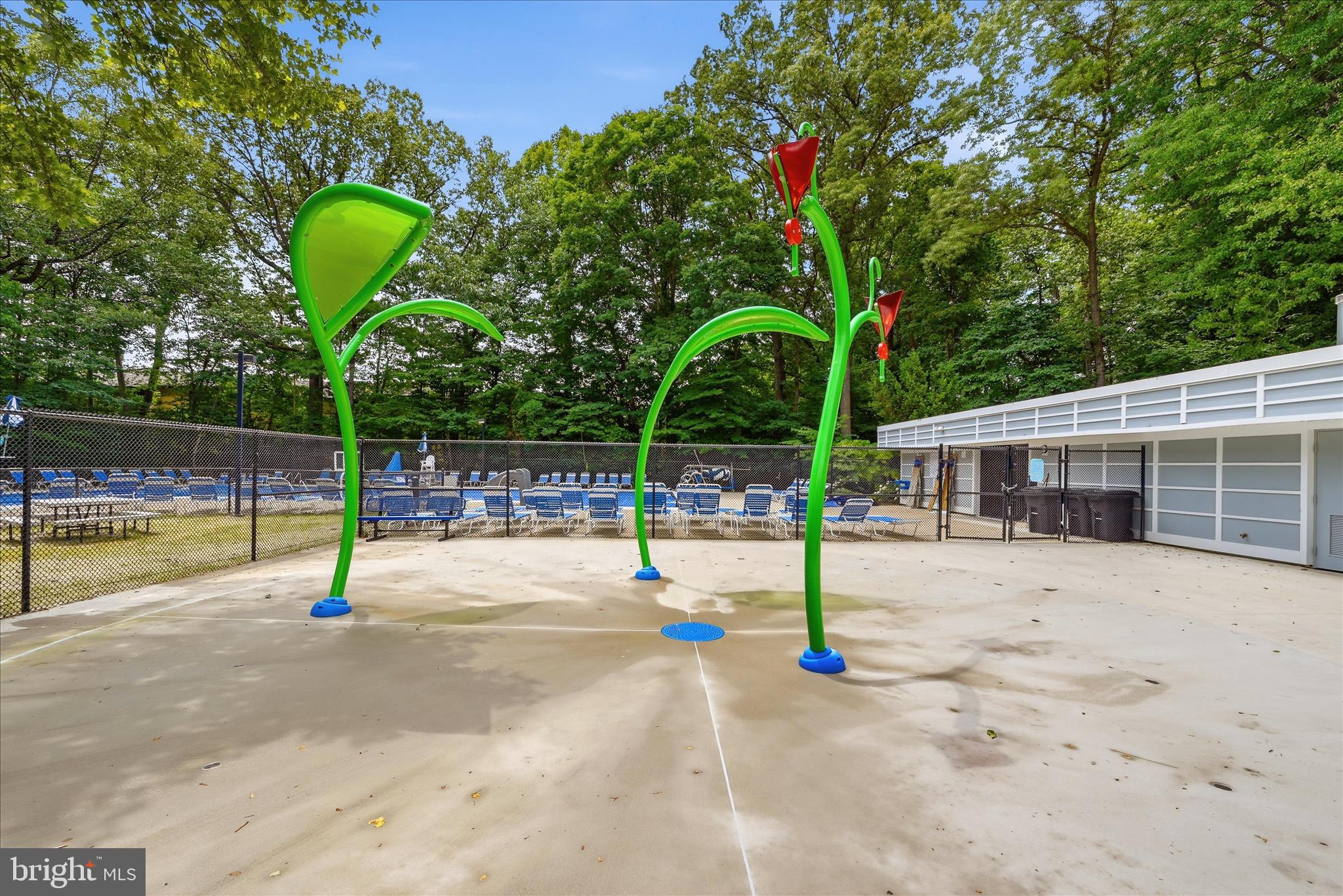 11533 Pine Cone Court Reston, VA 20191 - Photo 40 of 60 Community Amenity - Multiple Pools and Splashpads