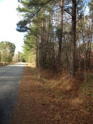 Lot 8 Barons Road Summerville, SC 29483 - Photo 3 of 5 resized05