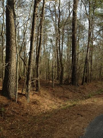 Lot 8 Barons Road Summerville, SC 29483 - Photo 4 of 5 resized03