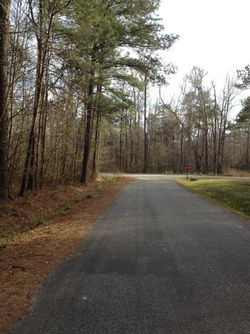 Lot 8 Barons Road Summerville, SC 29483 - Photo 5 of 5 resized02