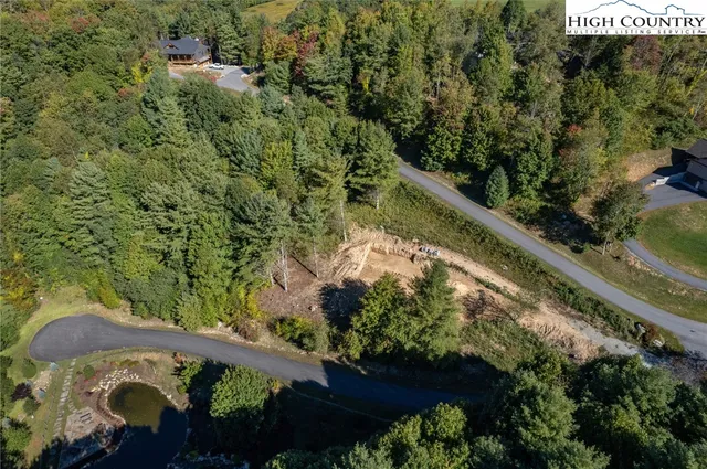 a view of a garden with a bench