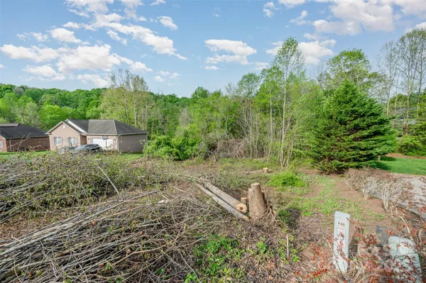 a view of a garden with plants and large trees