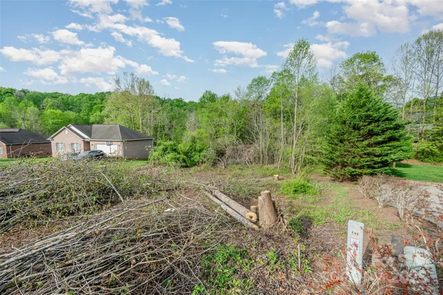 a view of a garden with plants and large trees