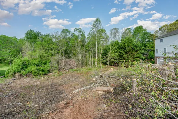 a view of a yard with plants and large trees