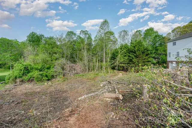 a view of a yard with plants and large trees