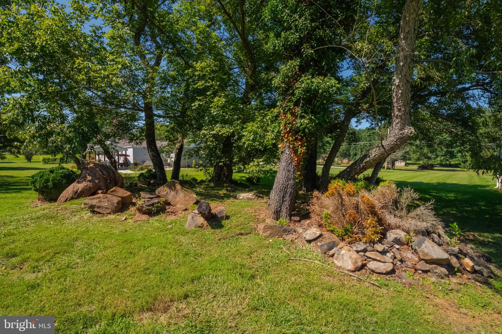7399 New Cut Road Kingsville, MD 21087 - Photo 35 of 40 a view of a tree in a yard