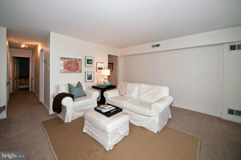716 4th Street Southeast Washington, DC 20003 - Photo 19 of 30 Rental Unit Living Room