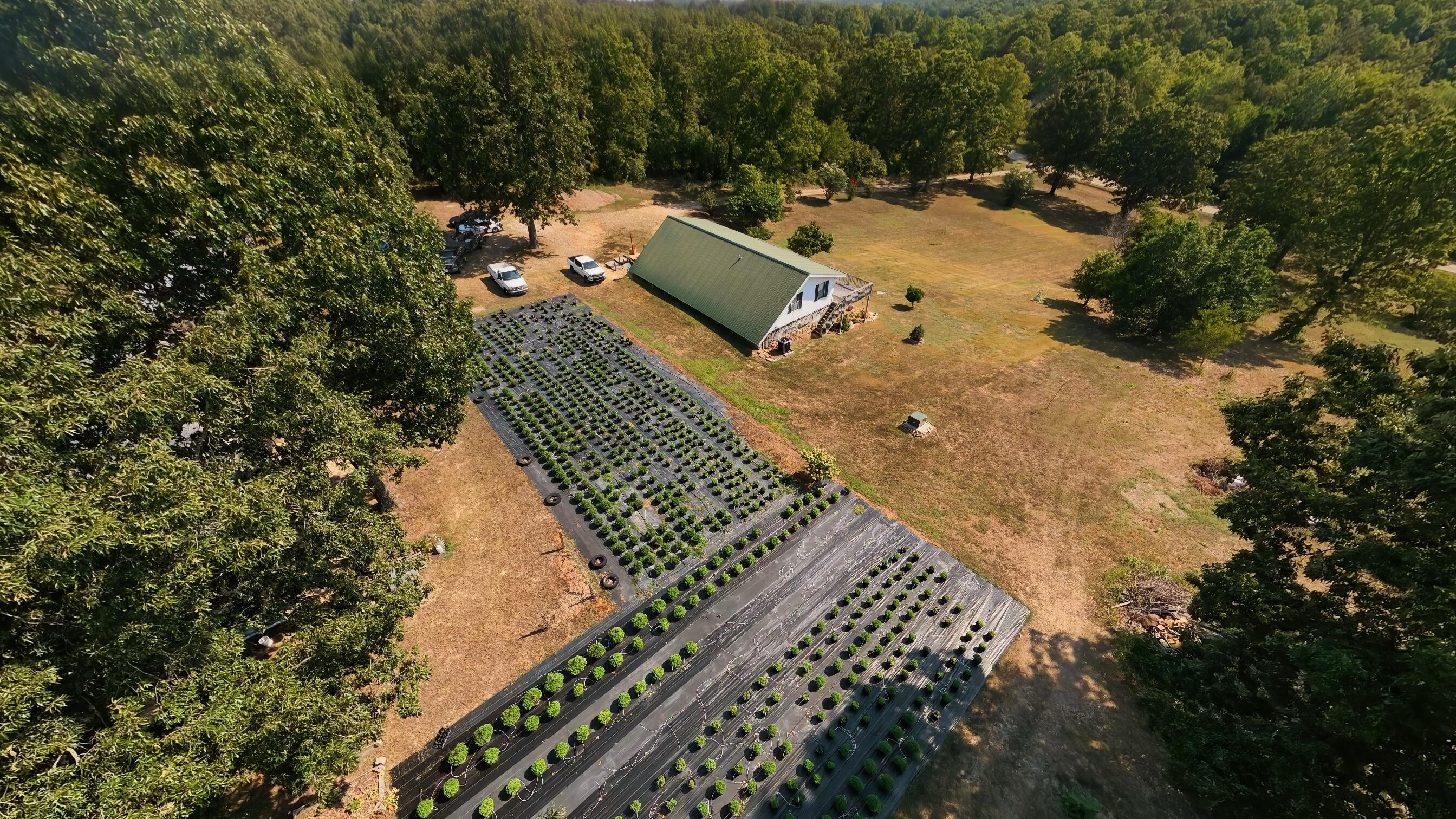 11092 Highway 9 Mammoth Spring, AR 72554 - Photo 78 of 83 Home on 4 acres076