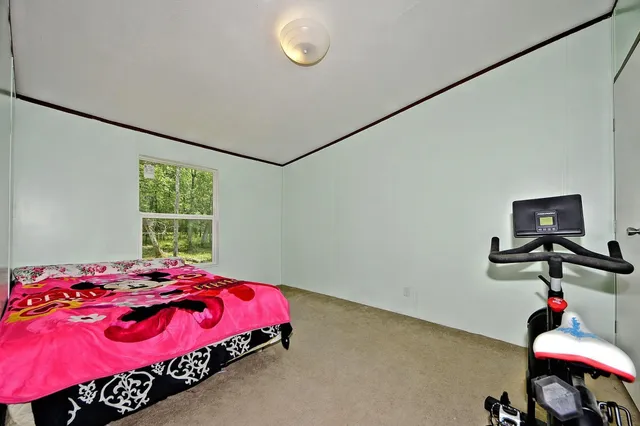 a view of backyard with tree