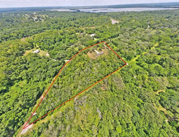 a view of a yard with plants and a yard