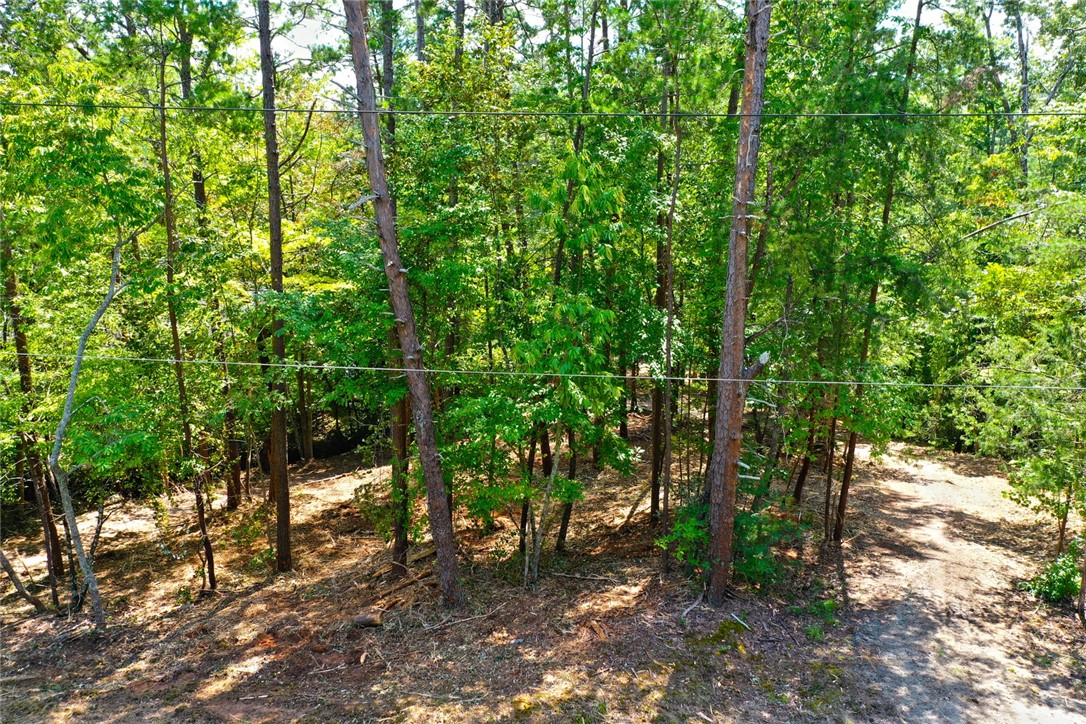 590 Old Chapman Bridge Road Salem, SC 29676 - Photo 43 of 43 Mature trees frame a peaceful wooded setting with natural dappled sunlight.