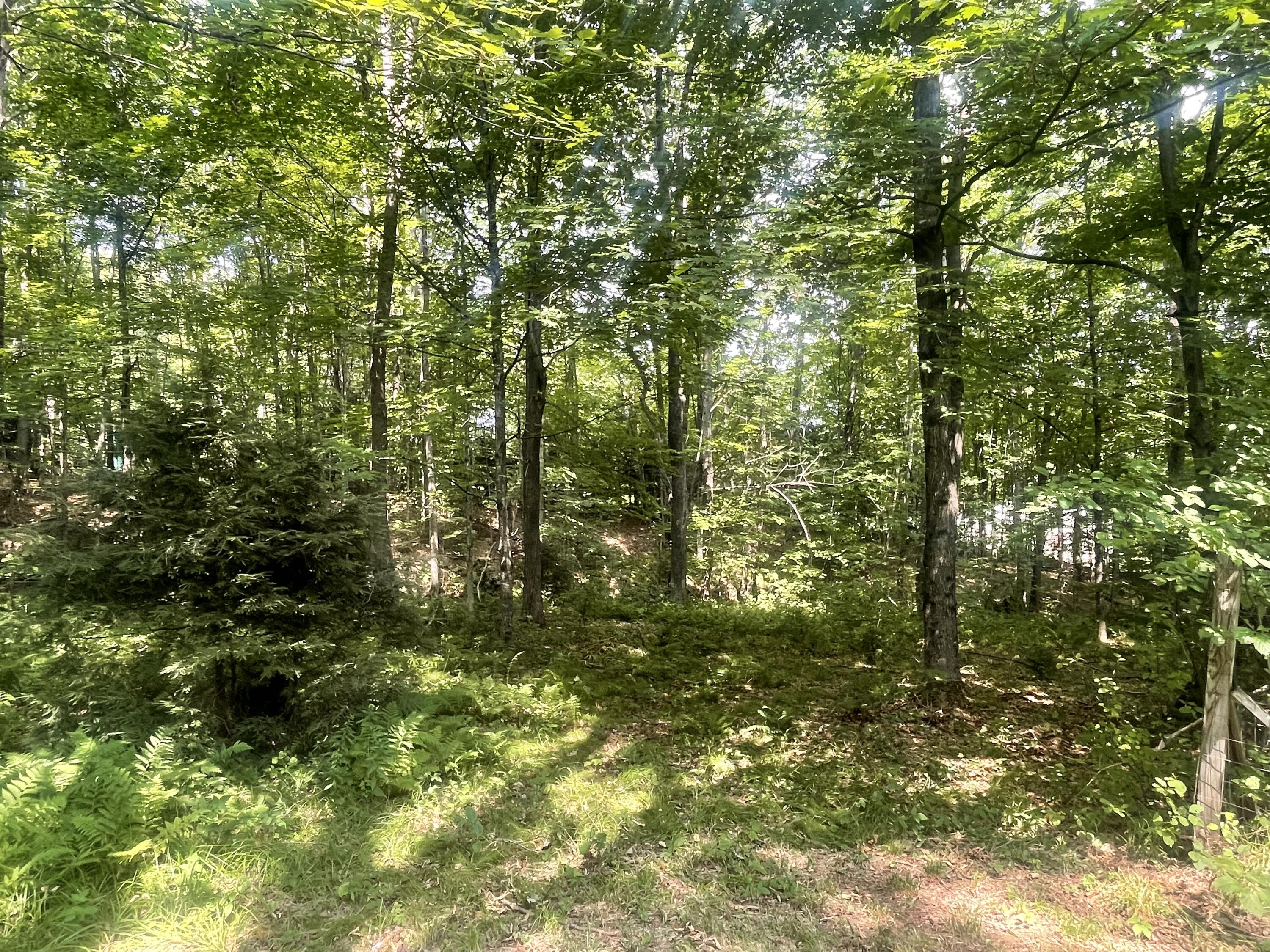 1200 Fairbanks Road Farmington, ME 04938 - Photo 19 of 25 IMG_7830