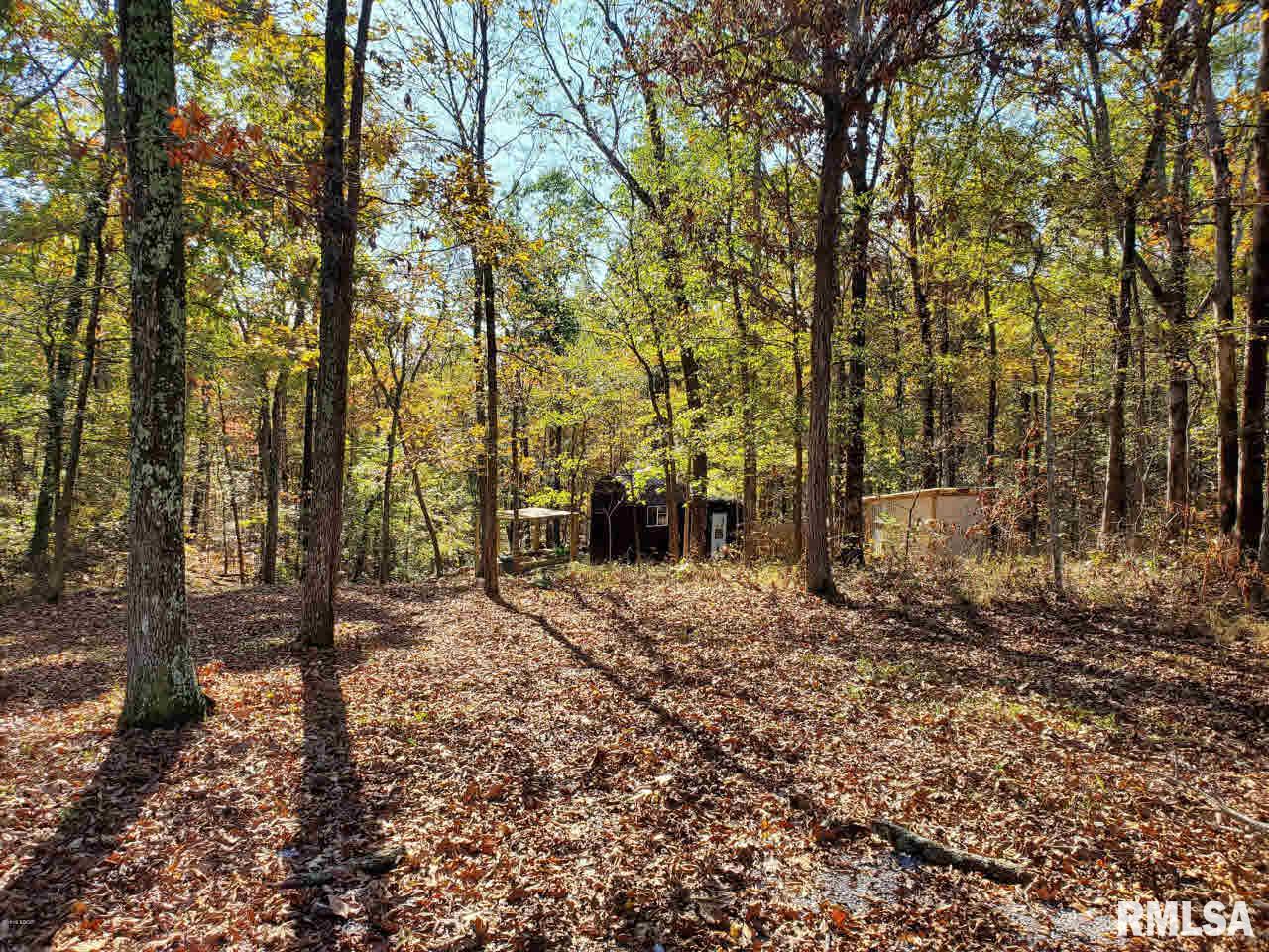 918 Highway 145 Simpson, IL 62985 - Photo 13 of 36 Gallery Image 13