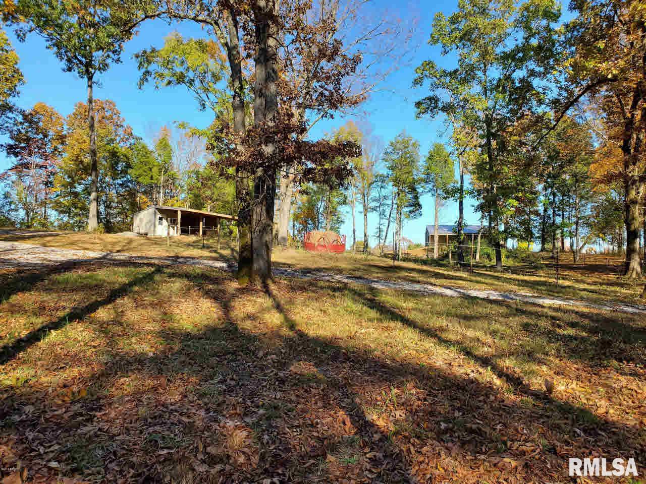 918 Highway 145 Simpson, IL 62985 - Photo 28 of 36 Gallery Image 28