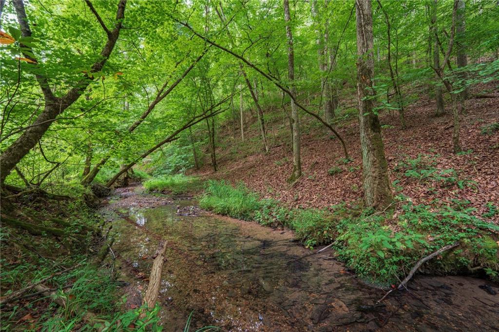 0 Hobgood Road Rydal, GA 30171 - Photo 7 of 10 Gallery Image 7