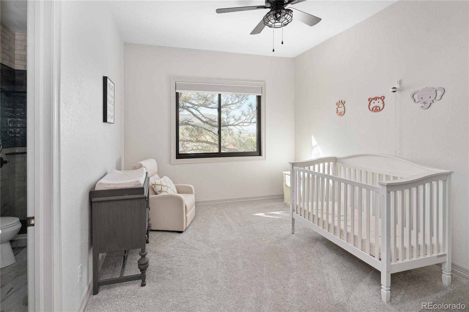 20132 East Shady Ridge Road Parker, CO 80134 - Photo 22 of 50 a living room with furniture and a window