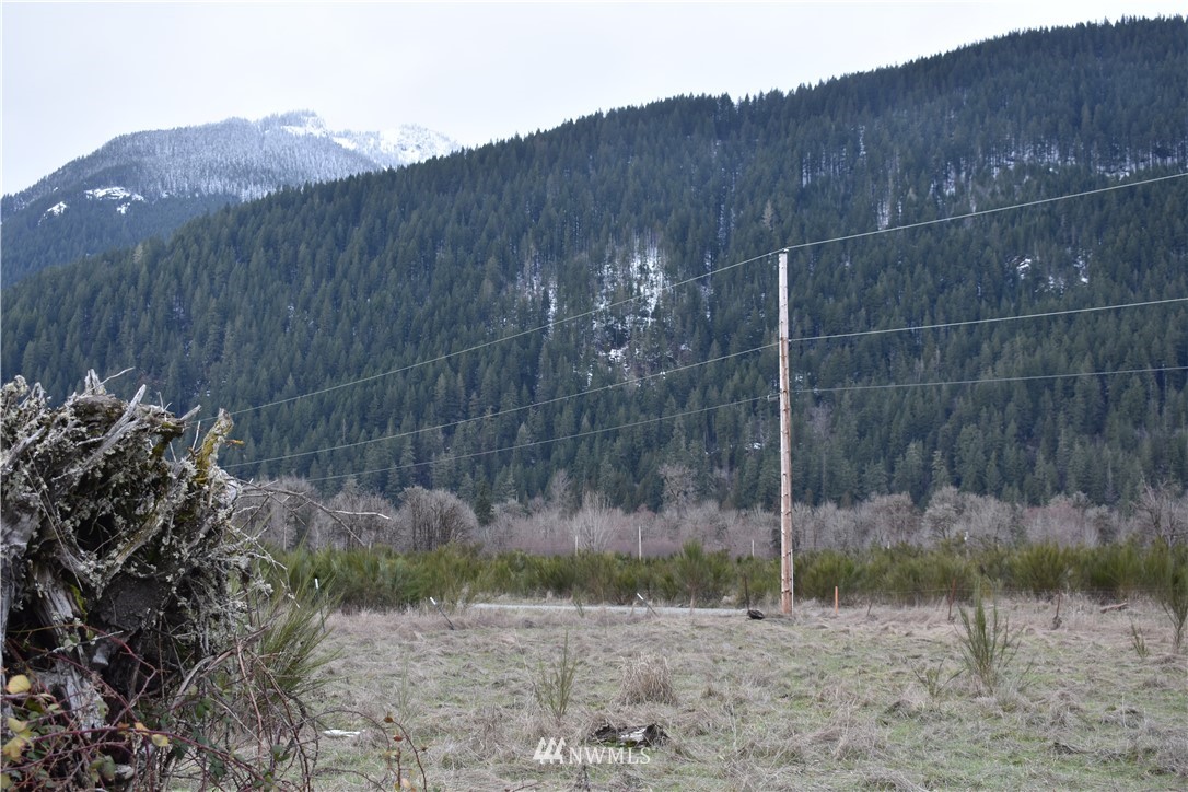 321 River Ranch Road Randle, WA 98377 - Photo 9 of 9 Gallery Image 9