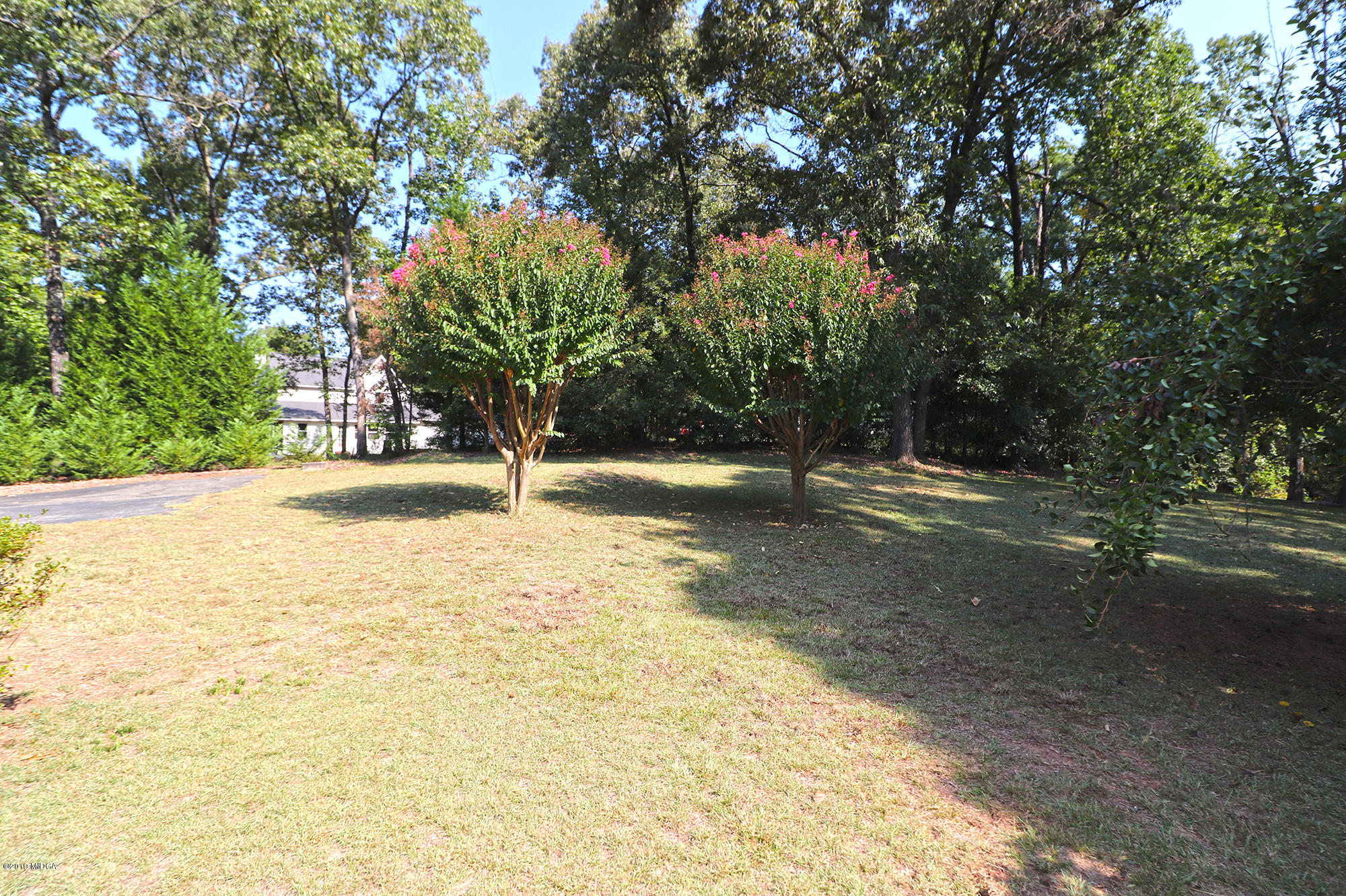 231 Red Oak Road Byron, GA 31008 - Photo 40 of 42 a view of outdoor space with trees all around