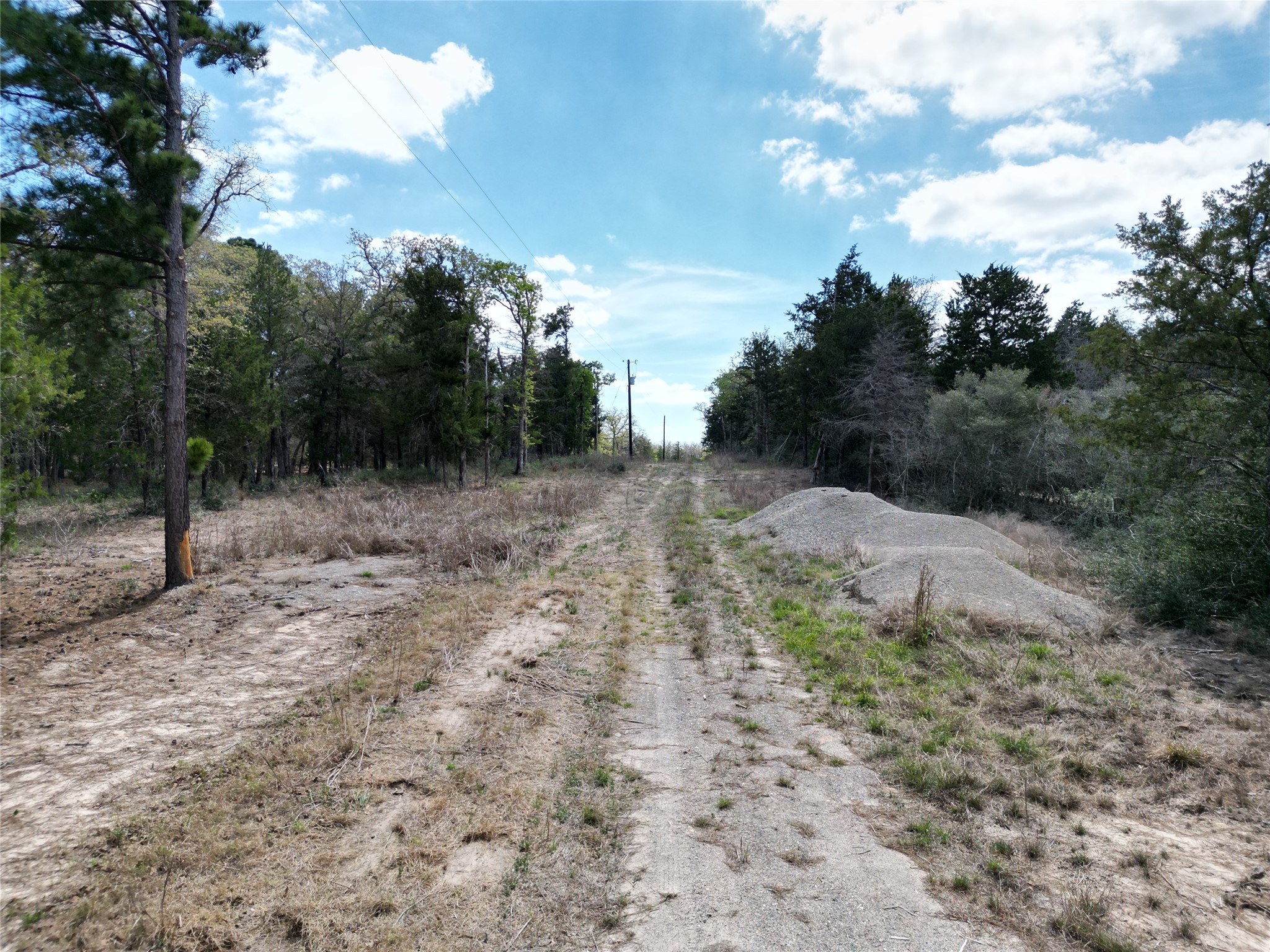 797 Marlin Street McDade, TX 78650 - Photo 6 of 10 Private driveway
