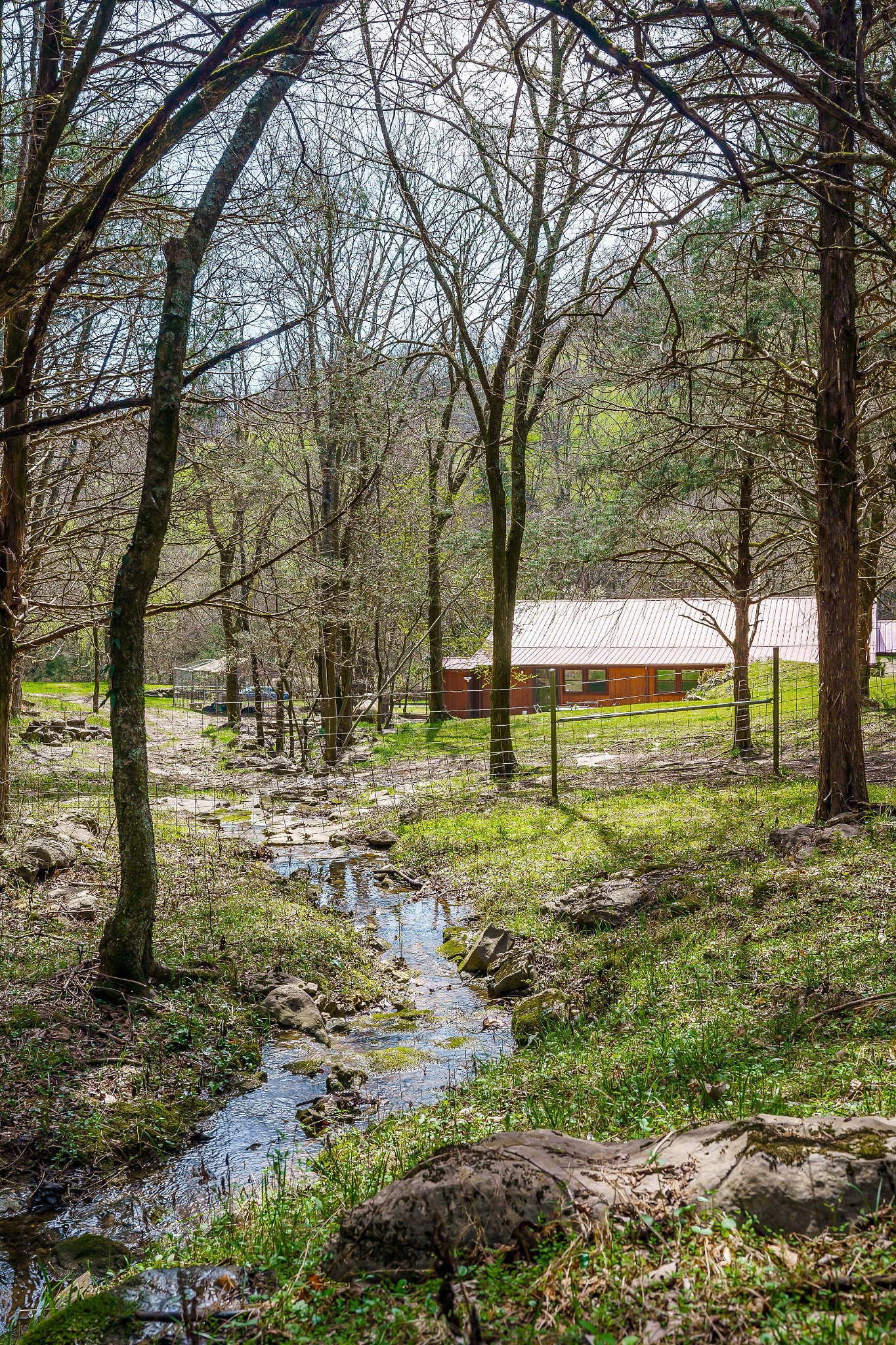 1365 Alexandria To Dismal Road Liberty, TN 37095 - Photo 59 of 69 Gallery Image 59