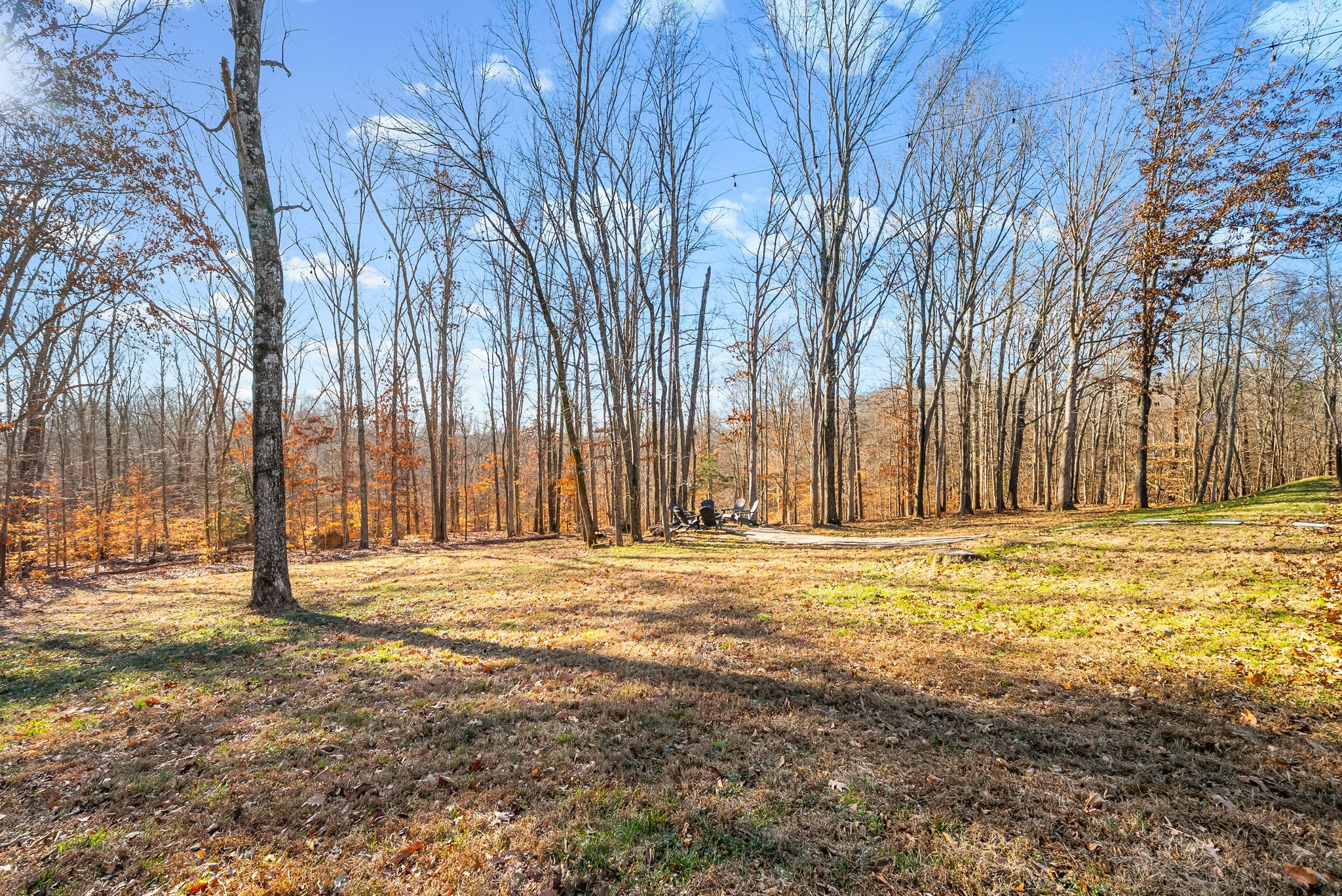 2862 Benton Ridge Road Palmyra, TN 37142 - Photo 58 of 67