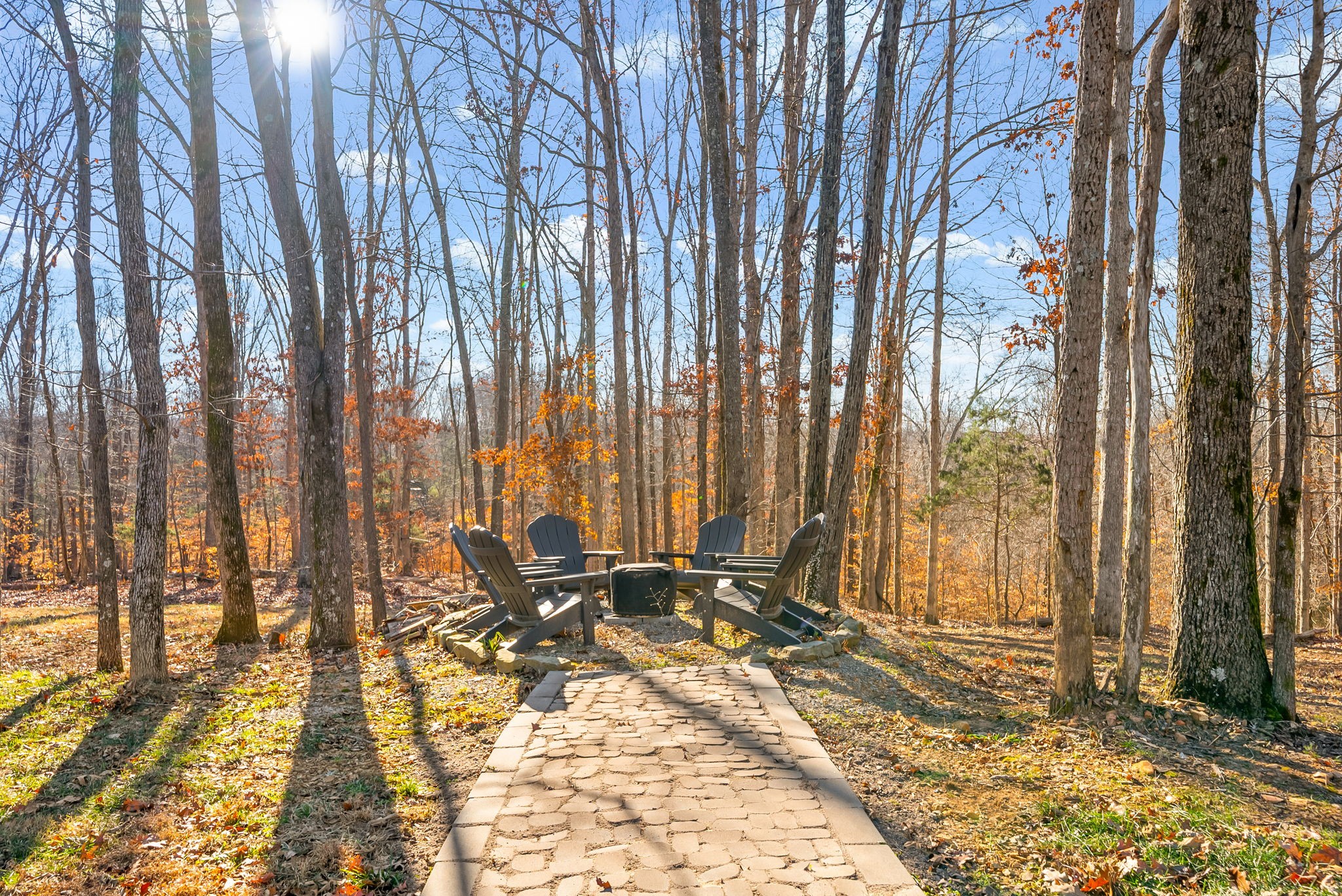 2862 Benton Ridge Road Palmyra, TN 37142 - Photo 59 of 67