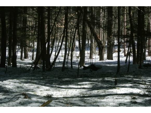0 South Shore Road New Durham, NH 03855 - Photo 2 of 12 Gallery Image 2