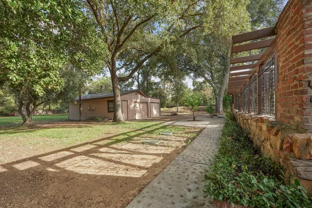 a view of a yard with a tree