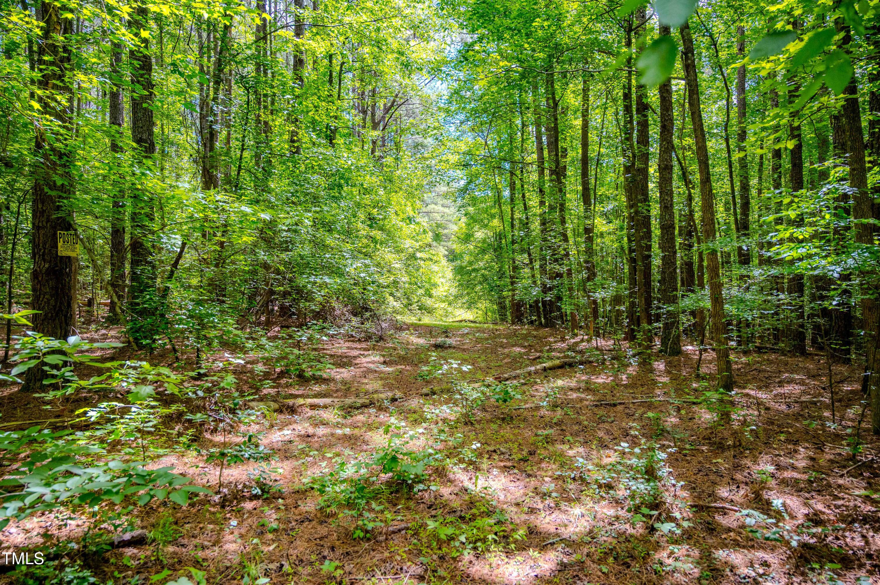1 Covered Bridge Road Zebulon, NC 27597 - Photo 31 of 53 31