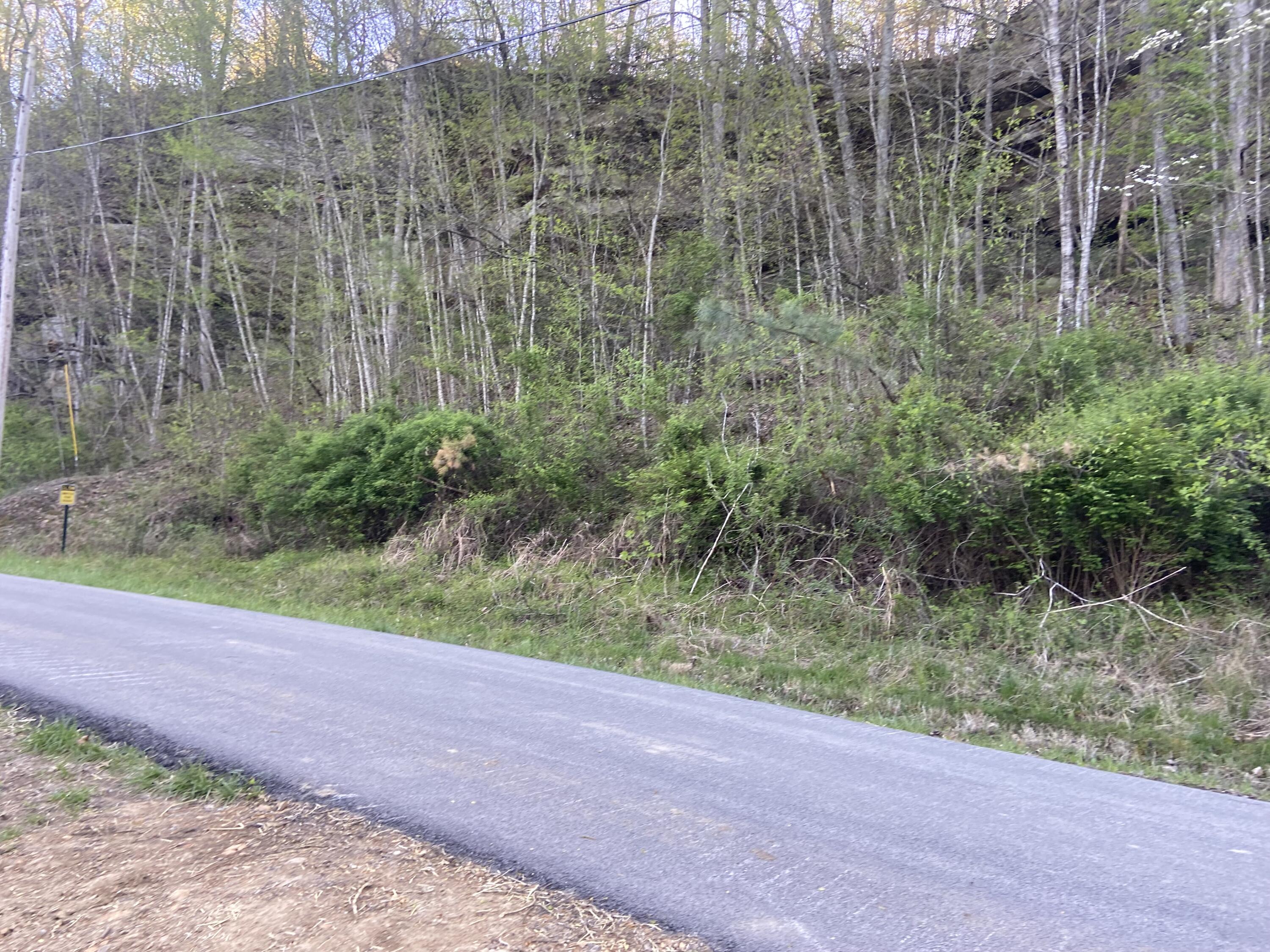 553 Cliffs Edge Road East Bernstadt, KY 40729 - Photo 6 of 10 IMG_4905