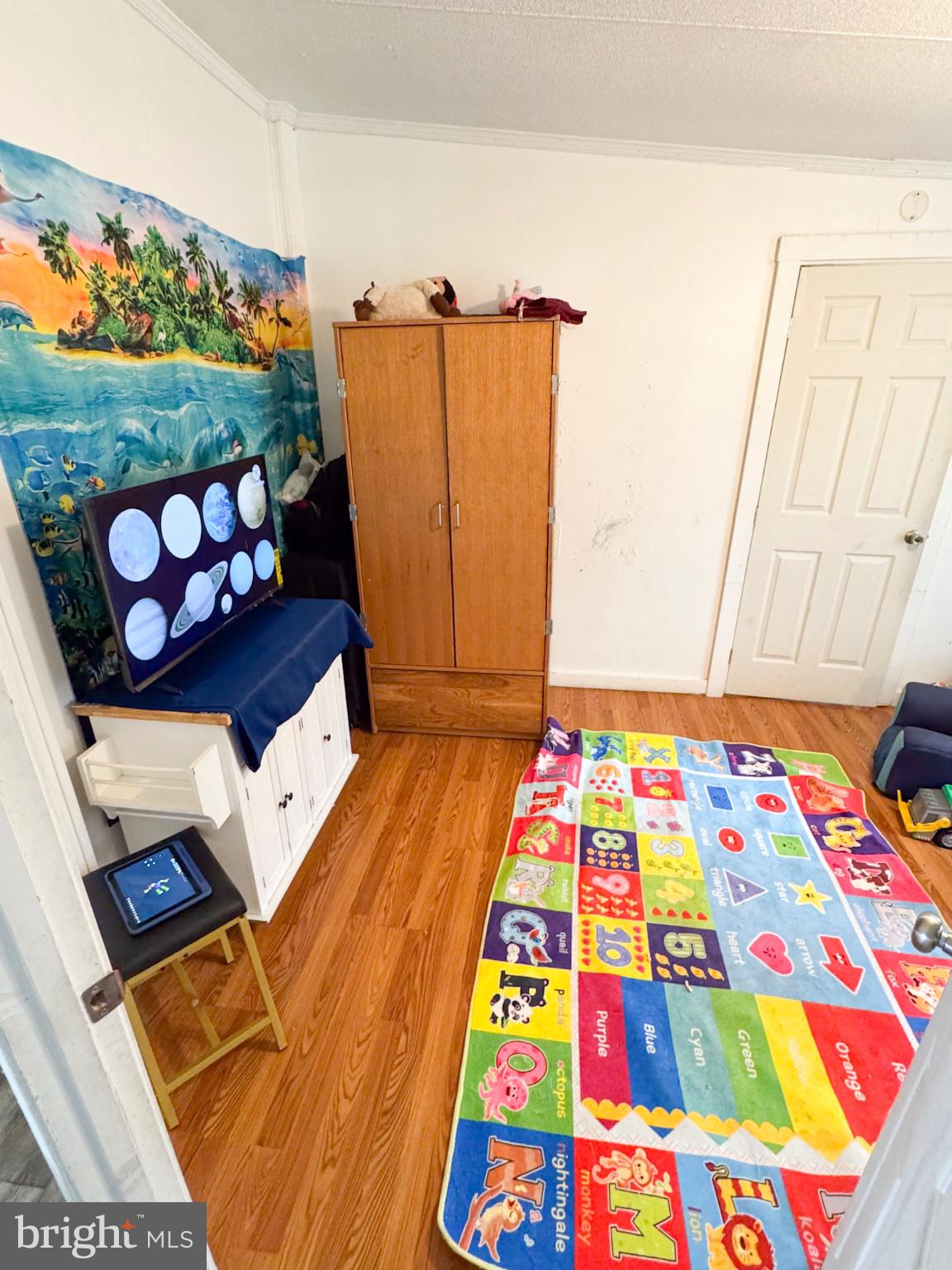 4512 Woodpecker Road Seaford, DE 19973 - Photo 25 of 32 Colorful playroom with tropical mural.