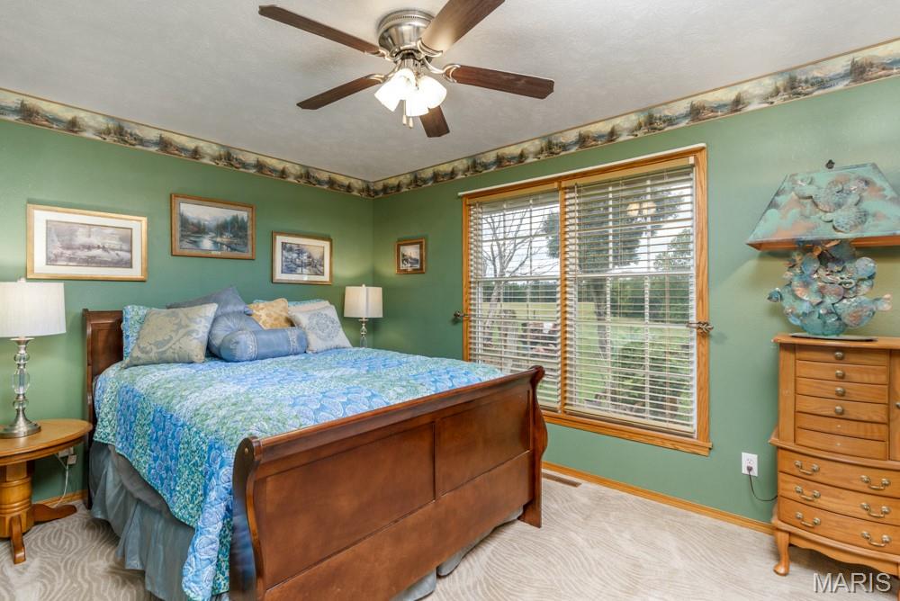 235 Springfield Road Buffalo, MO 65622 - Photo 13 of 47