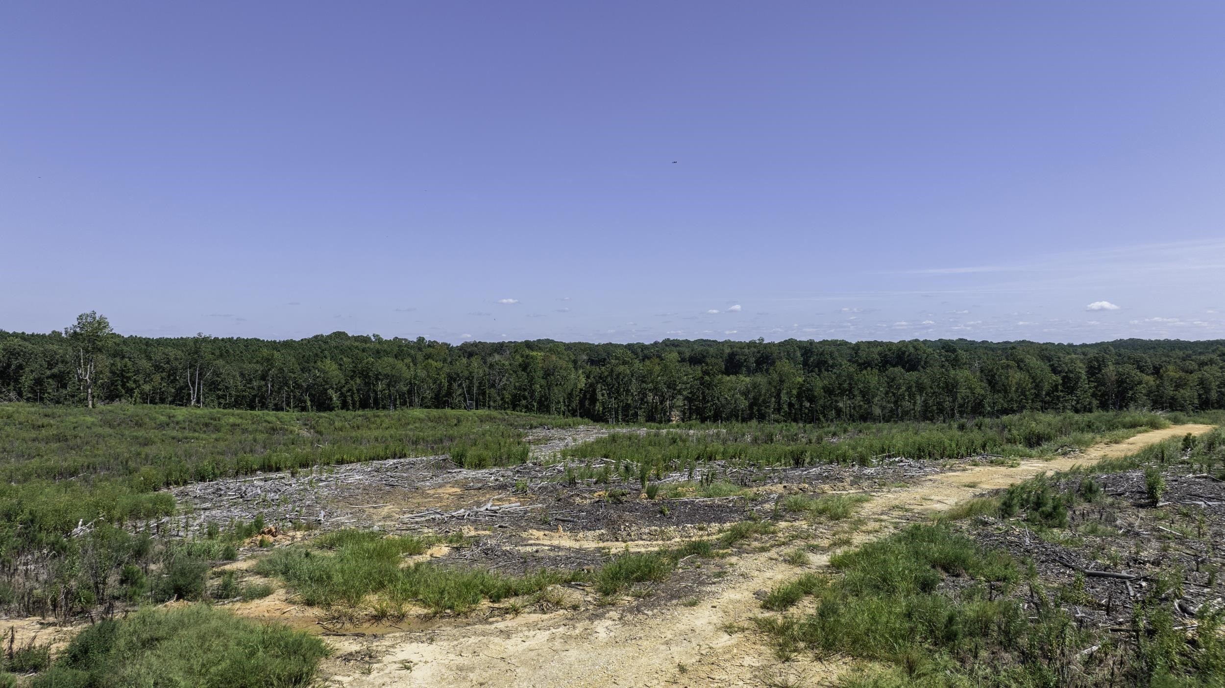 Cowens Bridge Road Gray Court, SC 29645 - Photo 2 of 24