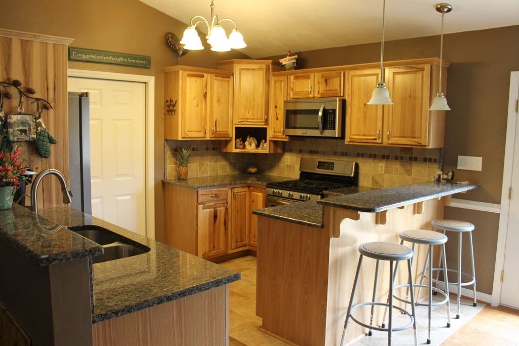 830 Arch Mill Road Buchanan, VA 24066 - Photo 3 of 12 KitchenL
