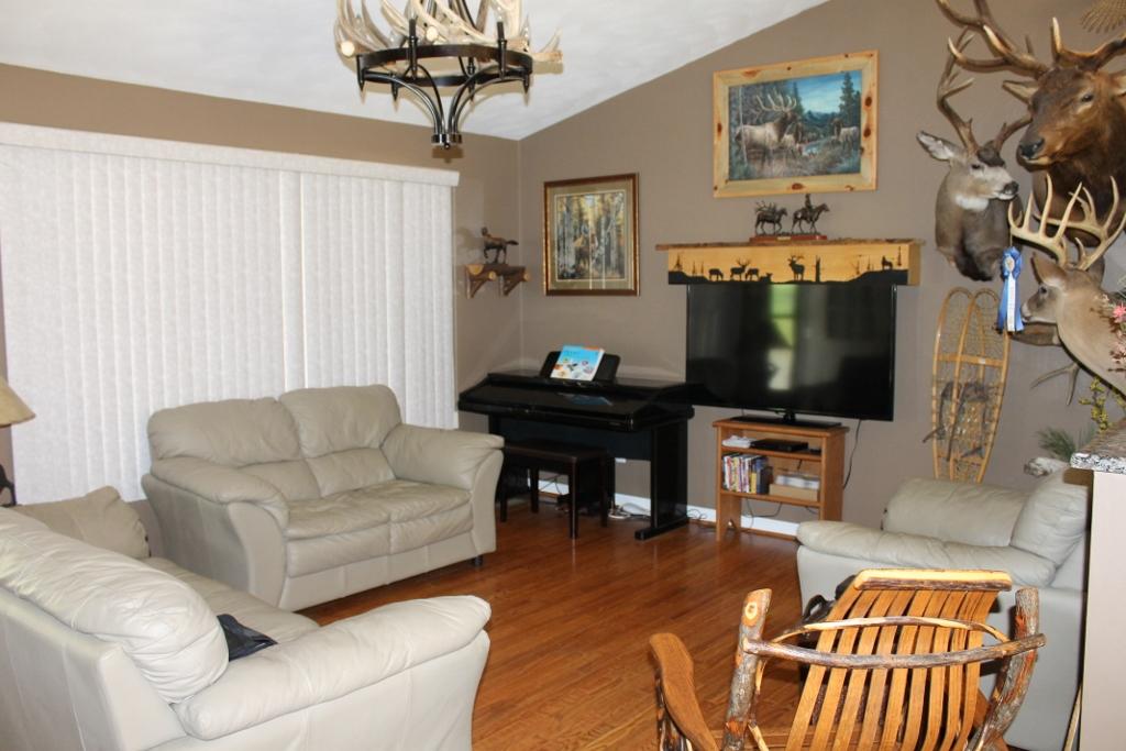 830 Arch Mill Road Buchanan, VA 24066 - Photo 5 of 12 Liv rm 2