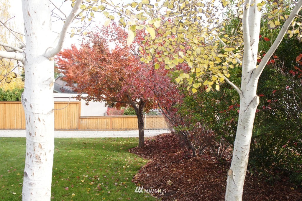 1210 Red Apple Road Wenatchee, WA 98801 - Photo 13 of 13 Gallery Image 13