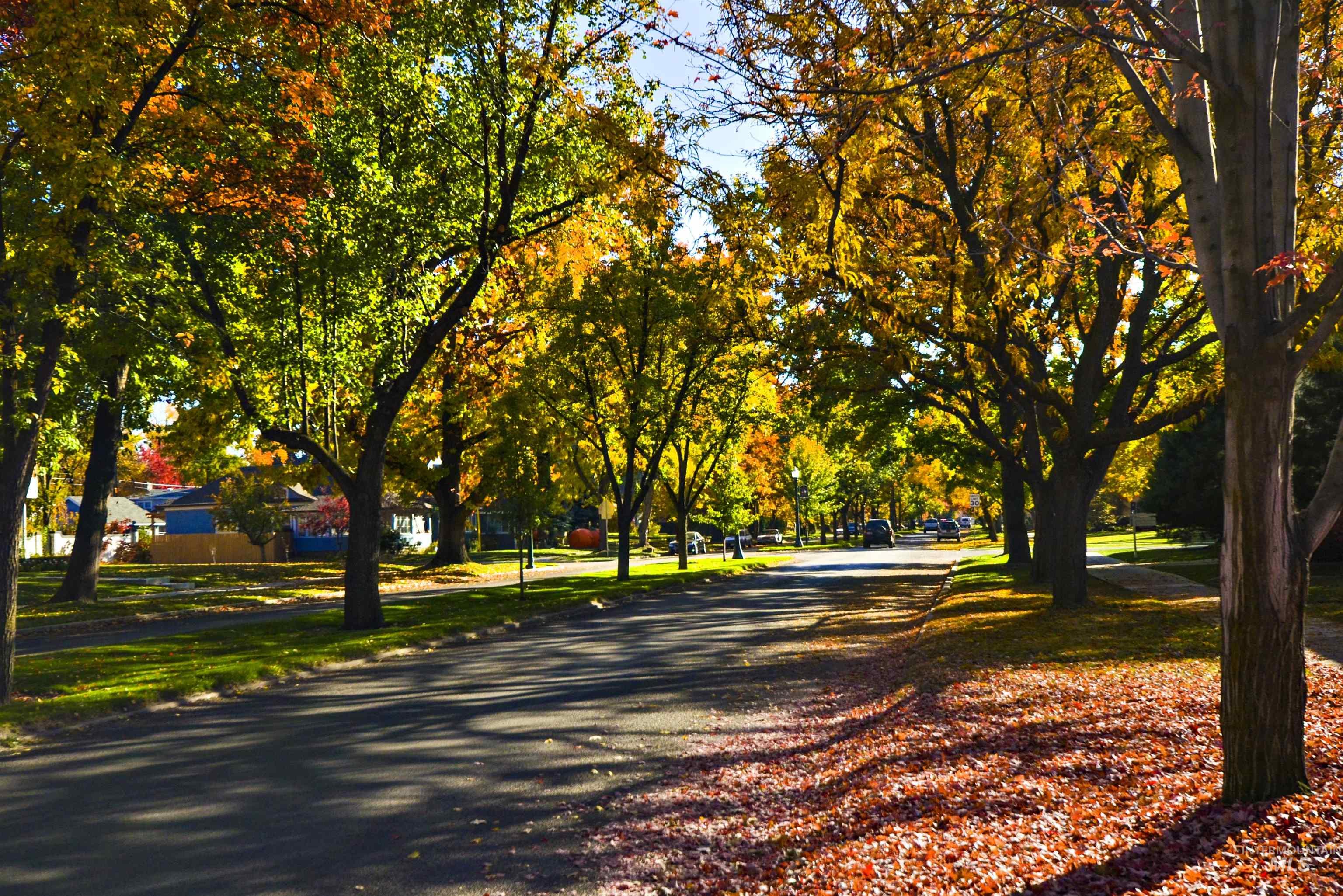 2476 North Bogus Basin Road Boise, ID 83702 - Photo 47 of 48 Tree lined Harrison Boulevard with leaves in fall colors