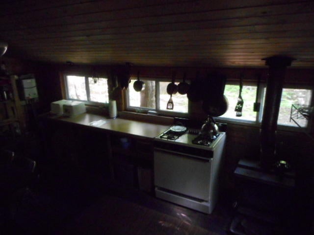 0 Gager Road Curtis, MI 49820 - Photo 19 of 41 Gallery Image 19