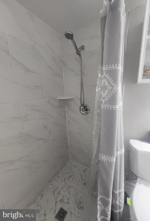 a bathroom with a shower and toilet