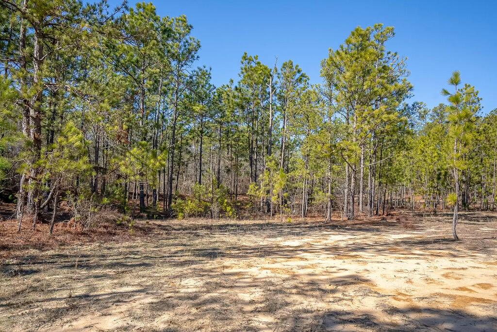 0 East Frontage Road Aiken, SC 29805 - Photo 3 of 20