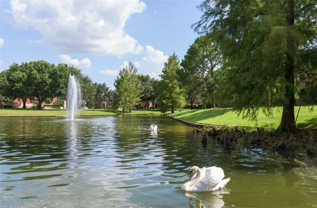 a lake view with a large trees all around