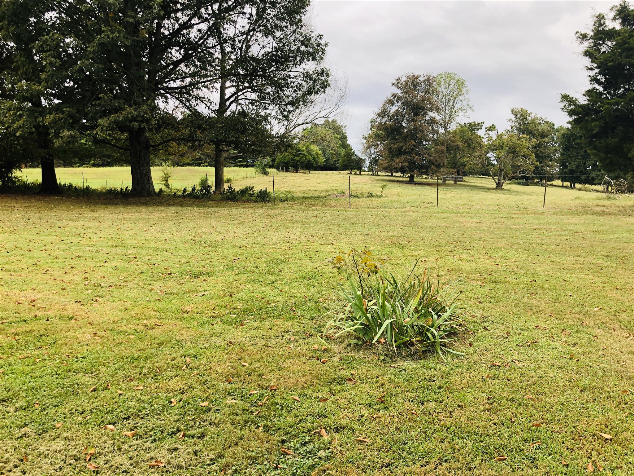 739 Winklers Road Red Boiling Springs, TN 37150 - Photo 5 of 20 Beautiful country setting fenced on 3 sides