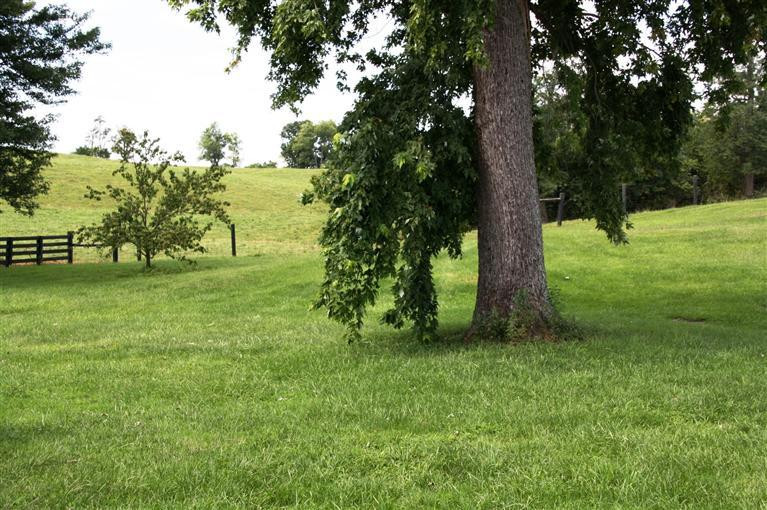 227 Youngs Mill Road Paris, KY 40361 - Photo 9 of 21 Photo 9