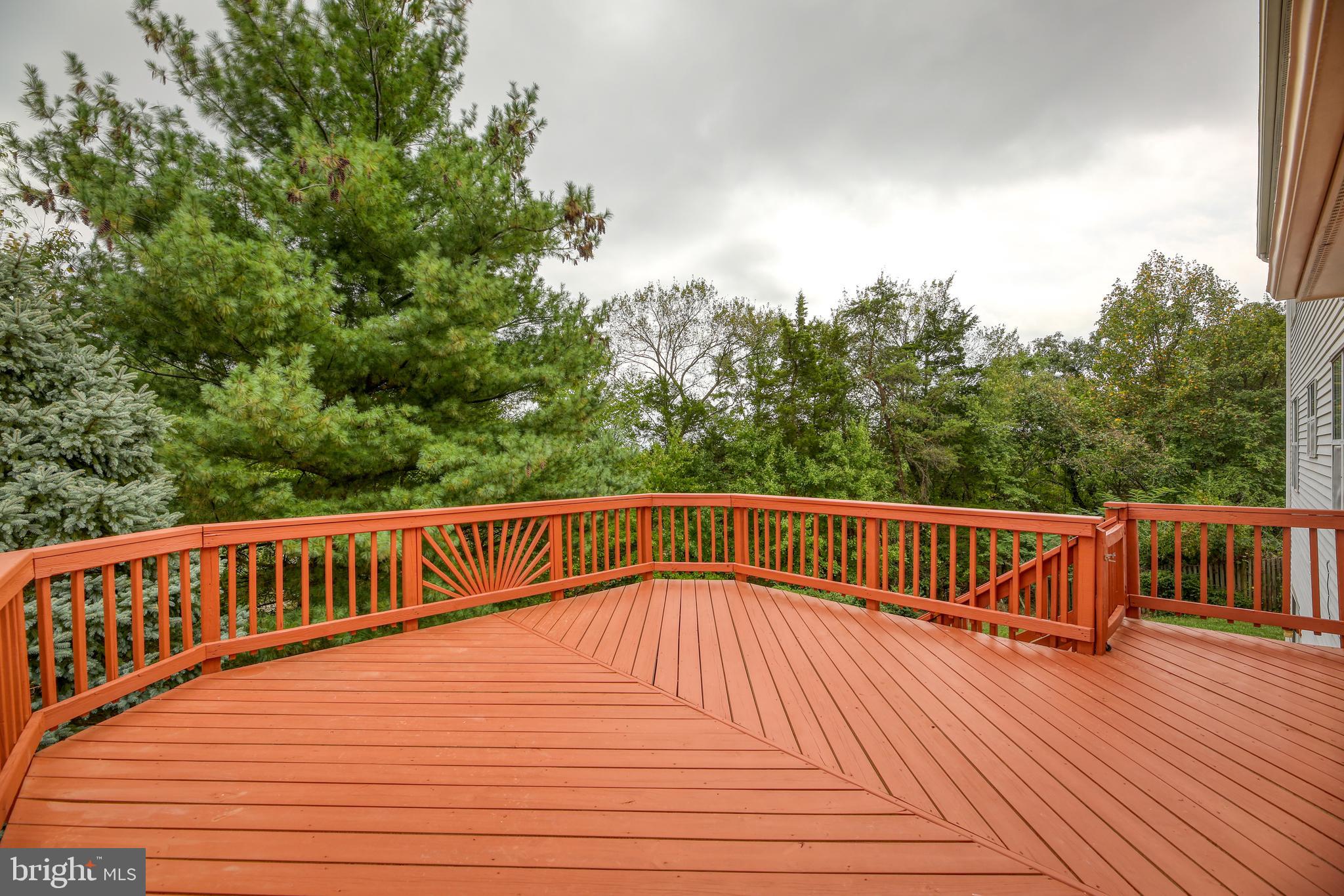 21316 Mirror Ridge Place Sterling, VA 20164 - Photo 2 of 30 Exterior - Rear Deck