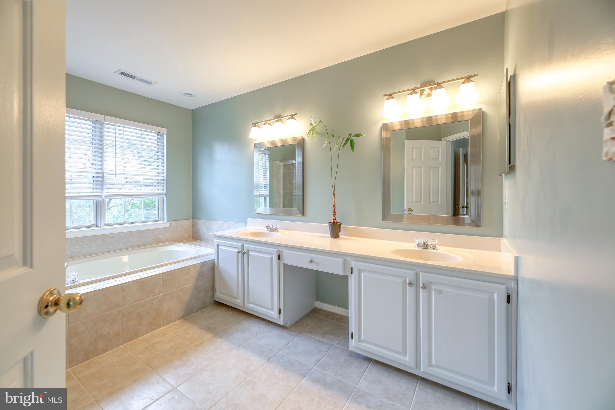21316 Mirror Ridge Place Sterling, VA 20164 - Photo 18 of 30 Owner's Bath