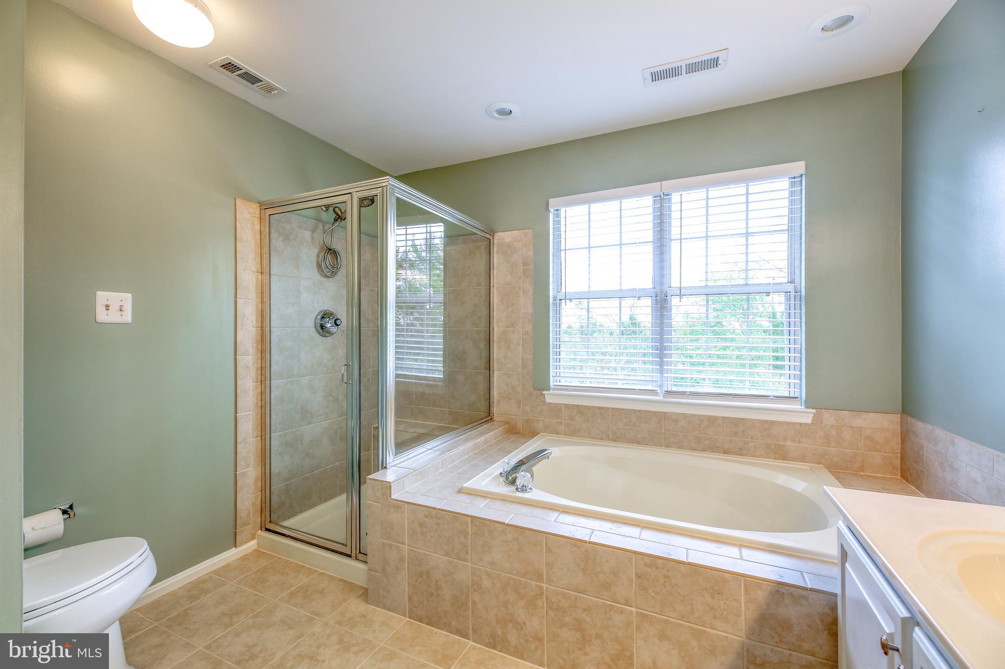 21316 Mirror Ridge Place Sterling, VA 20164 - Photo 19 of 30 Owner's Bath
