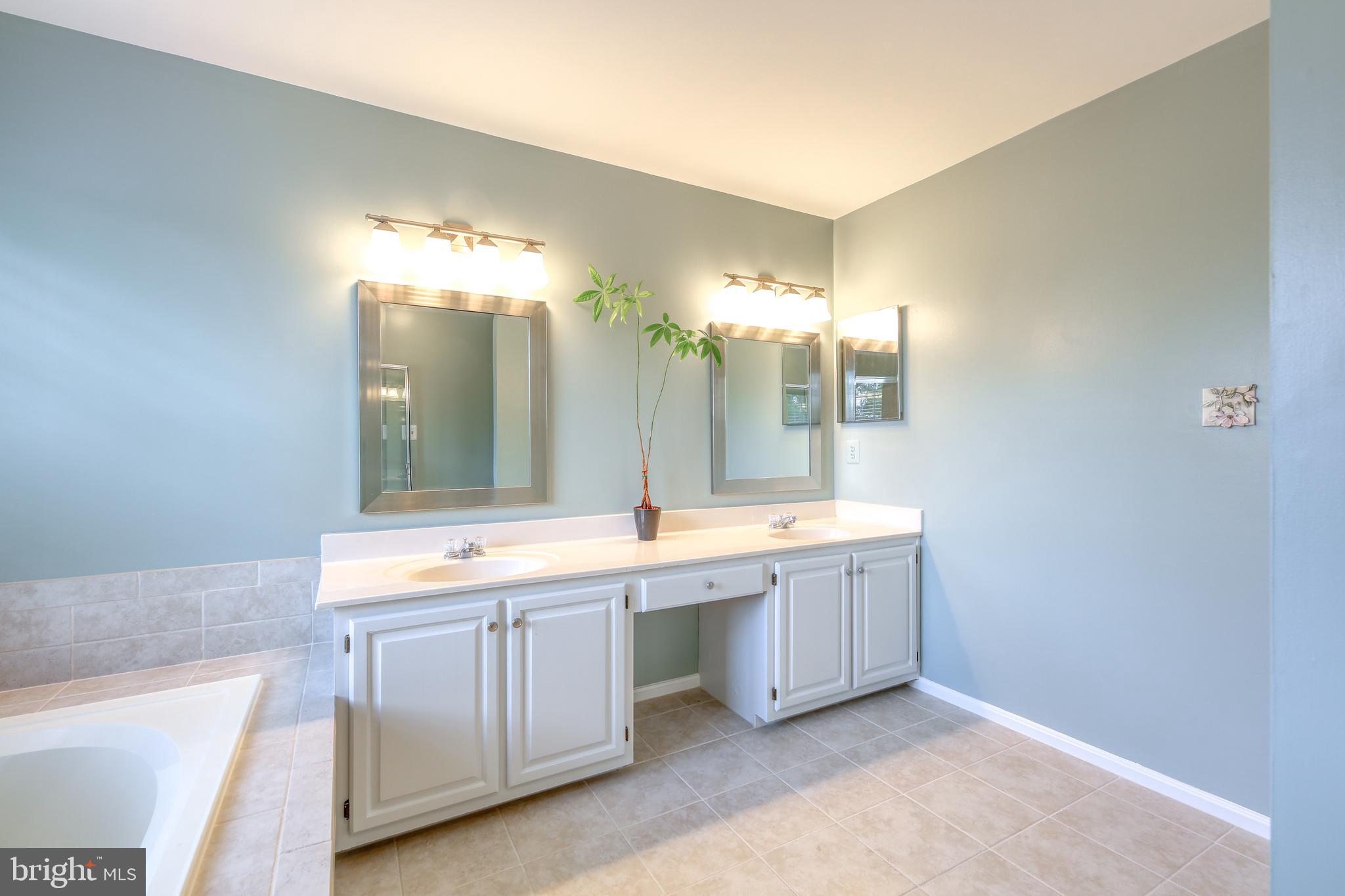 21316 Mirror Ridge Place Sterling, VA 20164 - Photo 20 of 30 Owner's Bath