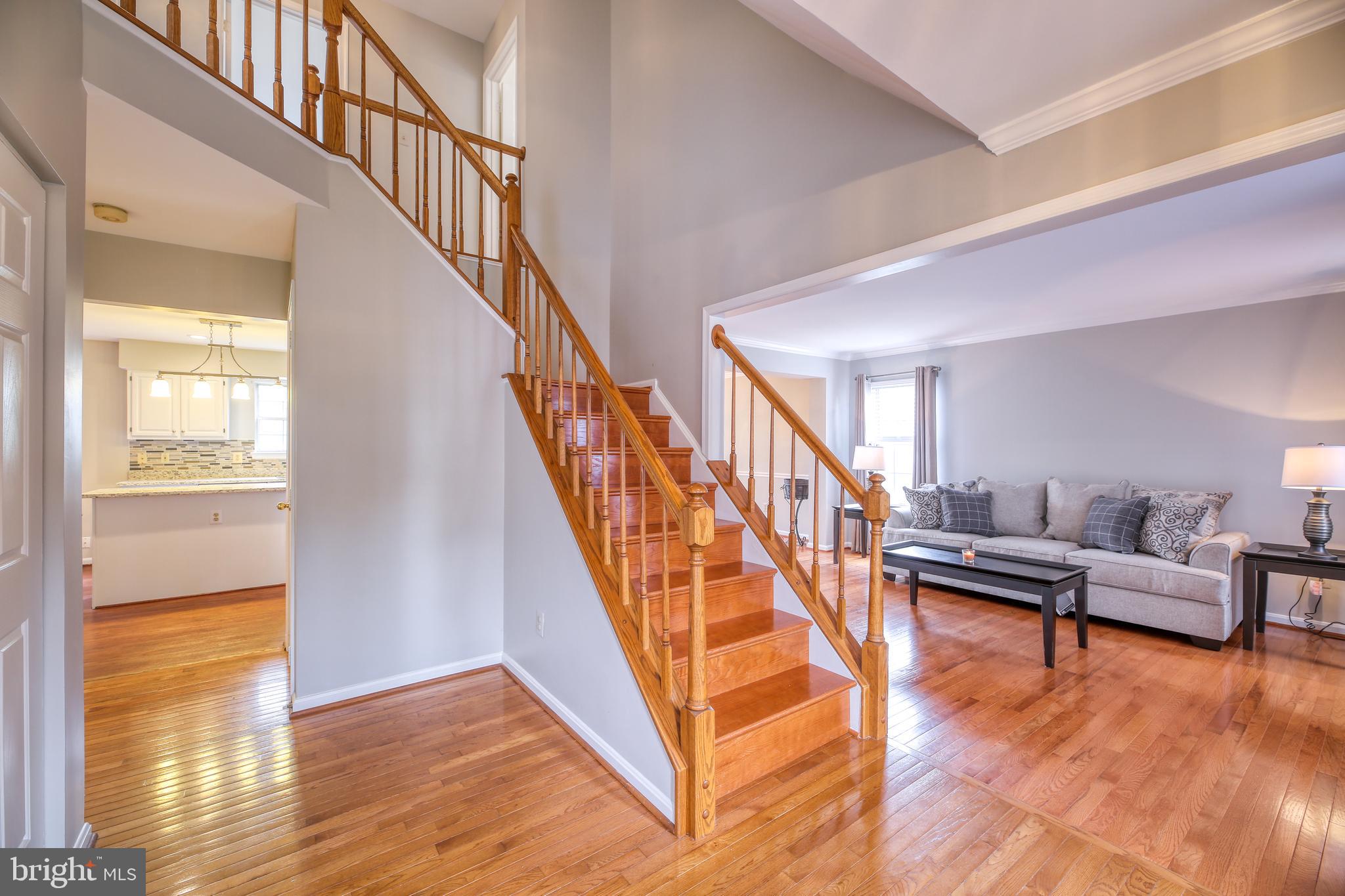 21316 Mirror Ridge Place Sterling, VA 20164 - Photo 4 of 30 Foyer