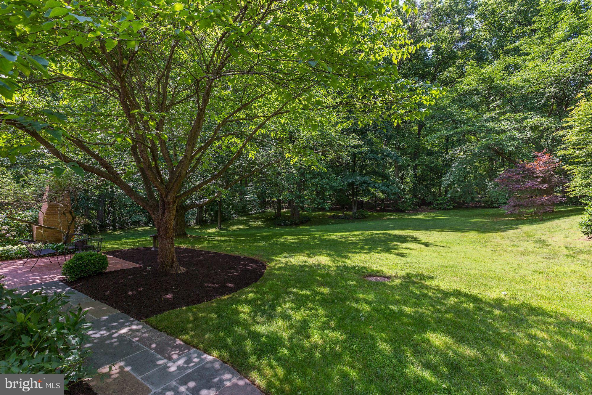8813 Belmart Road Potomac, MD 20854 - Photo 20 of 23 Vista